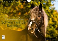 Faszination Schwarzwälder Kaltblut (Wandkalender 2023 DIN A4 quer)