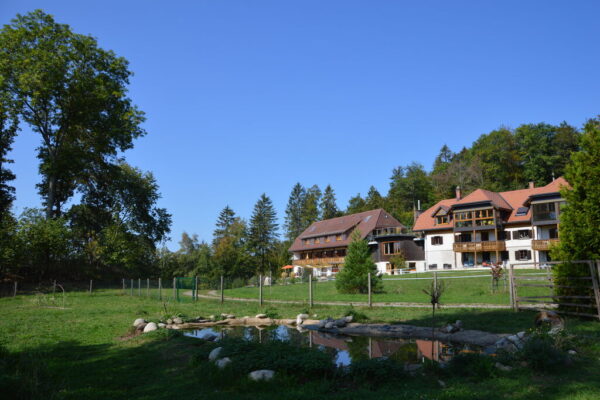 Ferienwohnung im Schwarzwald mit Balkon und Gartennutzung