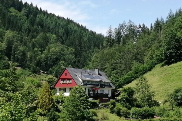 Gemutliche Ferienwohnung in Oppenau Nationalpark Schwarzwald