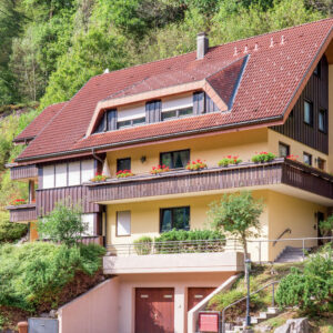 Gemutliche Wohnung in Bad Rippoldsau mit Balkon