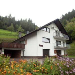 Herrliche Wohnung in Bad Peterstal-Griesbach mit Garten