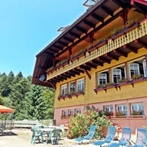Ruhiges Ferienhaus im Schwarzwald mit eigener Terrasse