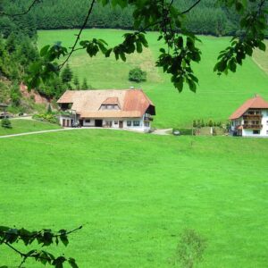 Schwarzwalder Bauernhof in absolut ruhiger und reizvoller Lage