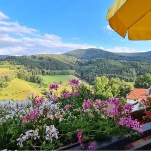 8 Tage Naturerlebnis im Schwarzwald mit Blick ins Tal